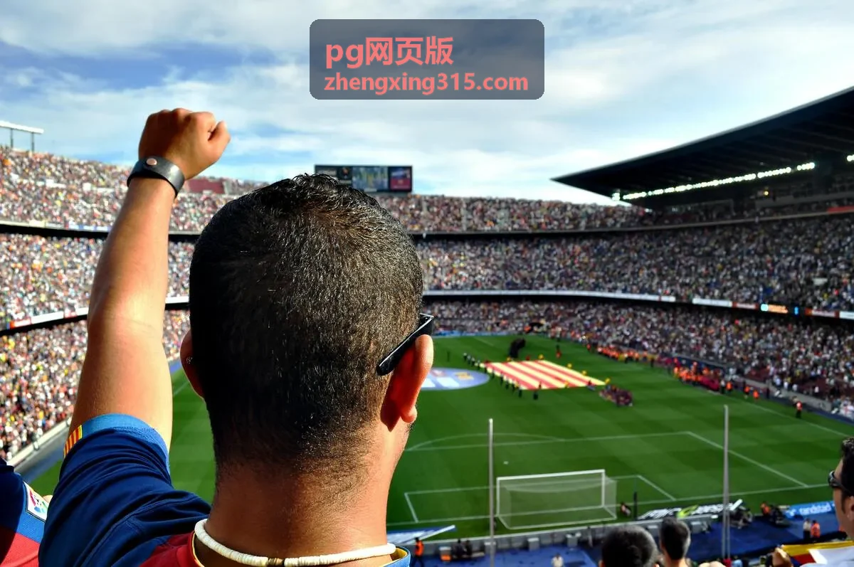 pg网页版常见问题速答封面图