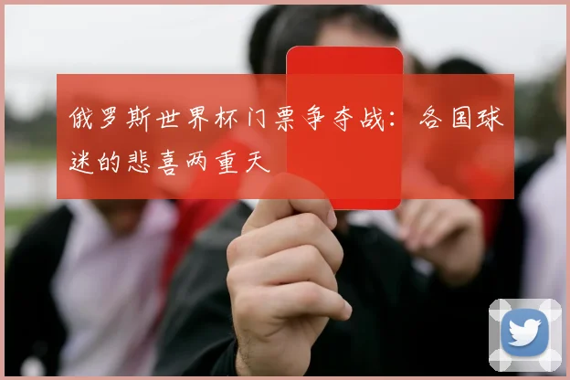 俄罗斯世界杯门票争夺战：各国球迷的悲喜两重天