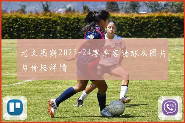 尤文图斯2023-24赛季客场球衣图片与价格详情