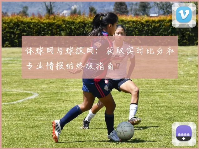 体球网与球探网：获取实时比分和专业情报的终极指南