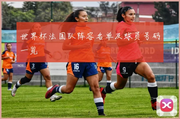 世界杯法国队阵容名单及球员号码一览