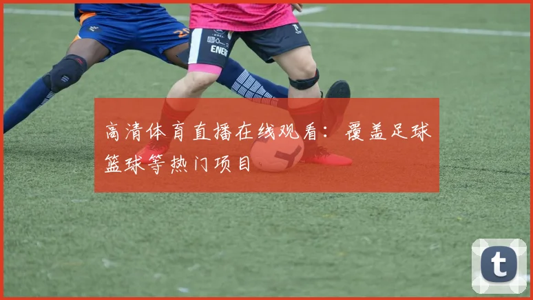 高清体育直播在线观看:覆盖足球篮球等热门项目