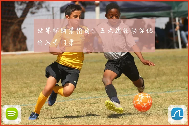 世界杯购票指南：五大途径助你低价入手门票