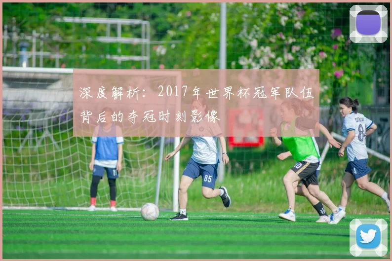 深度解析：2017年世界杯冠军队伍背后的夺冠时刻影像