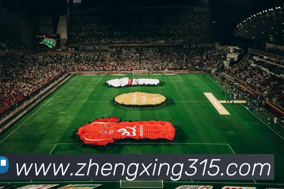 奖项图2